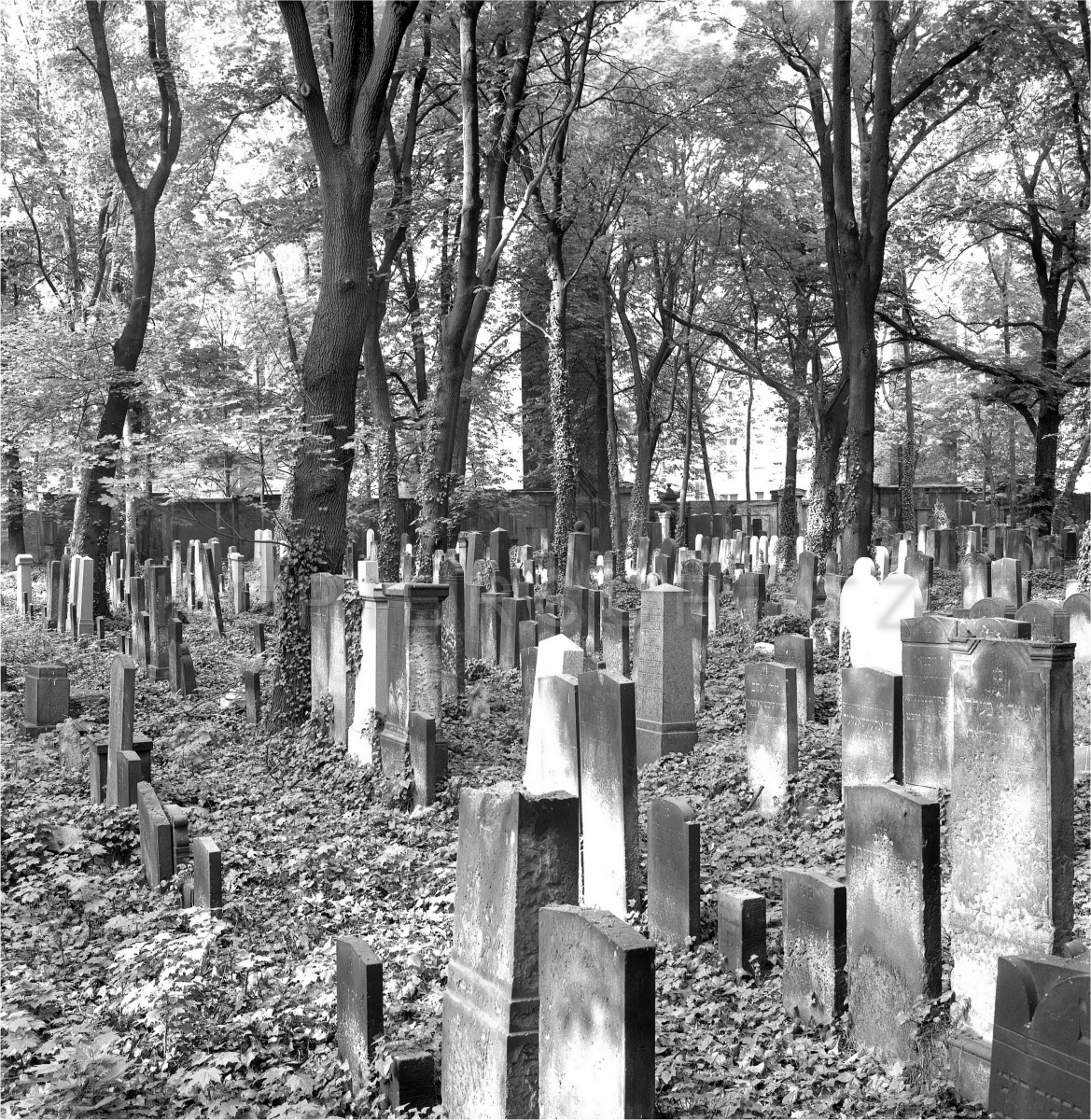Nr01-045_jüdischer-Friedhof-Schönh.Allee-16.5.1988
