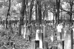 Nr01-045_jüdischer-Friedhof-Schönh.Allee-16.5.1988