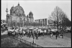 Nr07-036_Lustgarten-17.11.1989