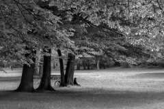 Nr.02c_158_Pankow-Schlosspark-2014-