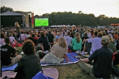 Nr.02c_88_Fußball-WM-im-Treptower-Park-2006