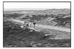Nr04-080_Sylt-1996