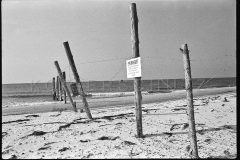 Nr08-08_Ahlbeck-Staatsgrenze-zu-Polen-1984
