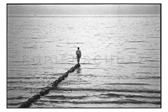 Nr08-13_Hiddensee-1994