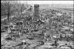 Nr02-044_Mauerpark-Baumpflanzung_1.4.1990