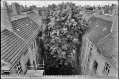 Nr02-062_Prenzlauer-Berg-26.5.1989