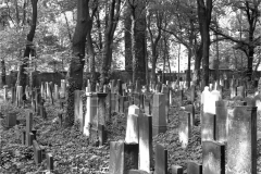 Nr02-077_Schönhauser-Allee-jüdischer Friedhof_16.5.1988