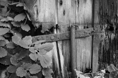 Nr.07c_38_21.9.2014-