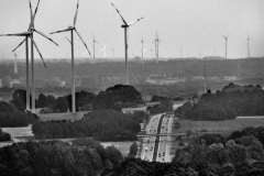 Nr.08c_11_2012-bei-Sukow-
