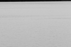 Nr.08c_19_Müggelsee-2006