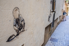 Nr.11c_110-Palma-2021