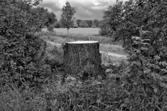 Nr.11c_122-12.5.2018-Malchow-