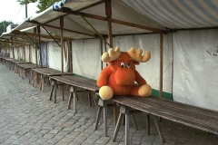 Nr.11c_37_2007