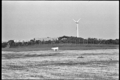 Nr13-042_Dänemark-10.6.1992