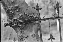Nr13-067_Rostock-1988